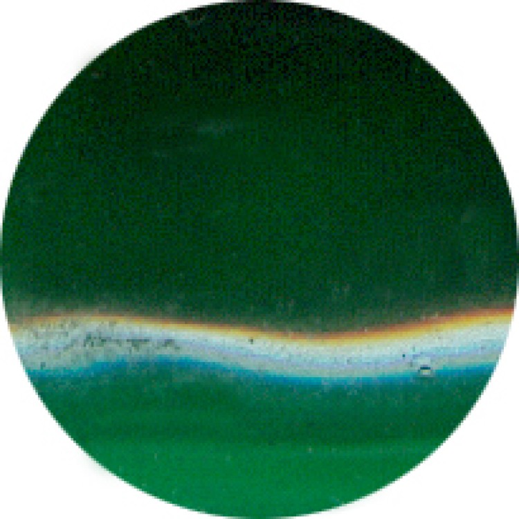 Premium Acrylpulver dark green, 25g